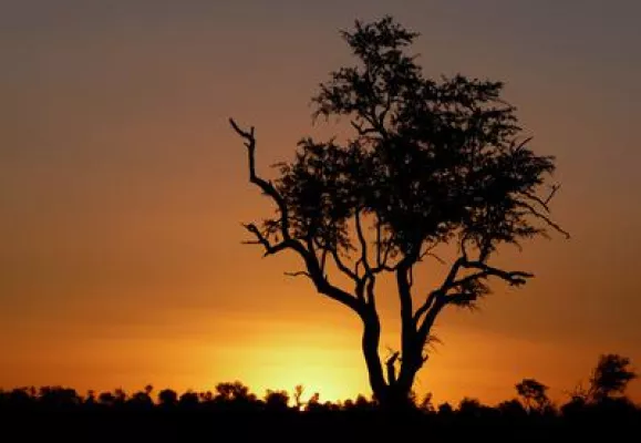 Reiseberichte über Safari Afrika geben Entscheidungshilfe - Kilimandscharo Touren Bild: Reiseberichte über Safari Afrika geben Entscheidungshilfe - Kilimandscharo Touren