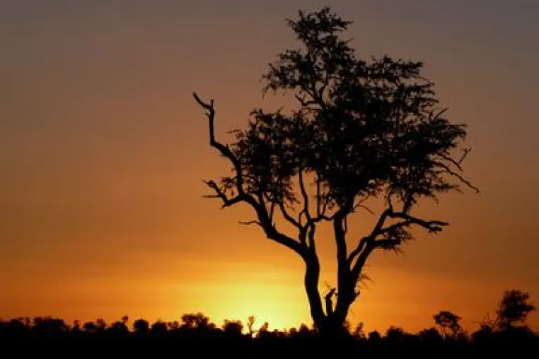 Reiseberichte über Safari Afrika geben Entscheidungshilfe - Kilimandscharo Touren Bild: Reiseberichte über Safari Afrika geben Entscheidungshilfe - Kilimandscharo Touren