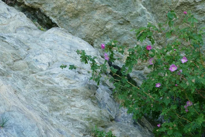 Entspannungspädagogik für Kinder, Seminar Bild: Entspannungspädagogik für Kinder, Seminar