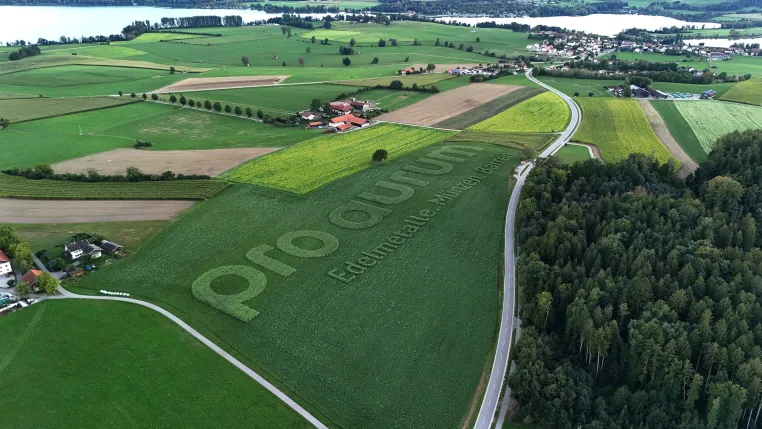 Bild: pro aurum bringt sein Logo zum Blühen und schafft Lebensraum