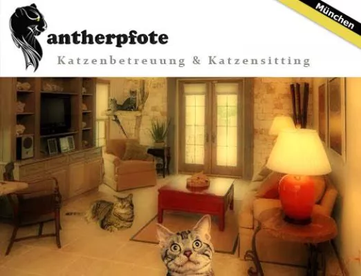 Bild: Katzenhotel oder mobile Katzenbetreuung vor Ort?