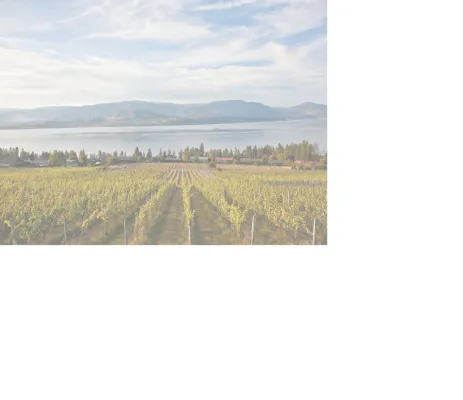 Bild: Next Generation: Nachhaltige Initiativen in Kelowna, British Columbia