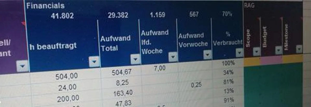 Auszug Projekt Dashboard
