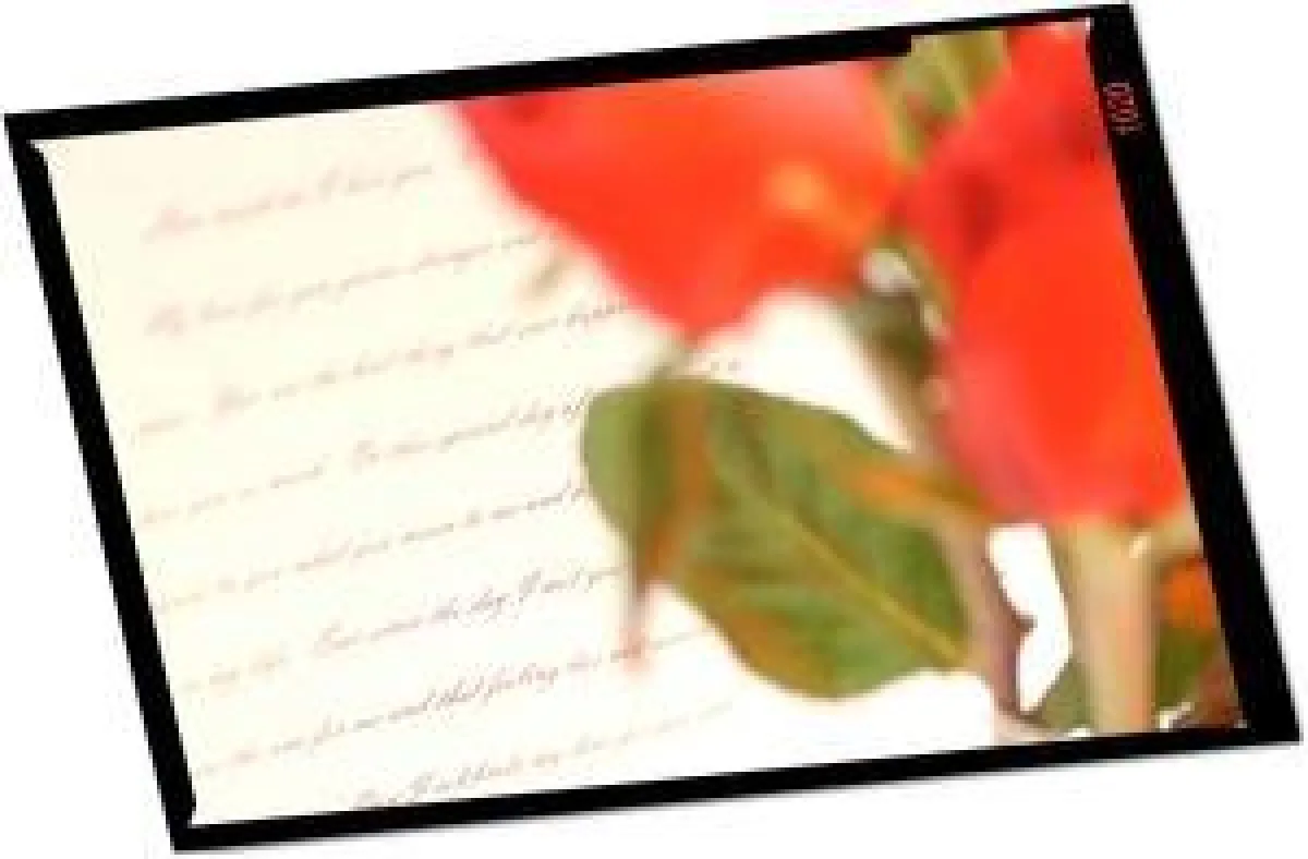 Liebesbrief zum Valentinstag