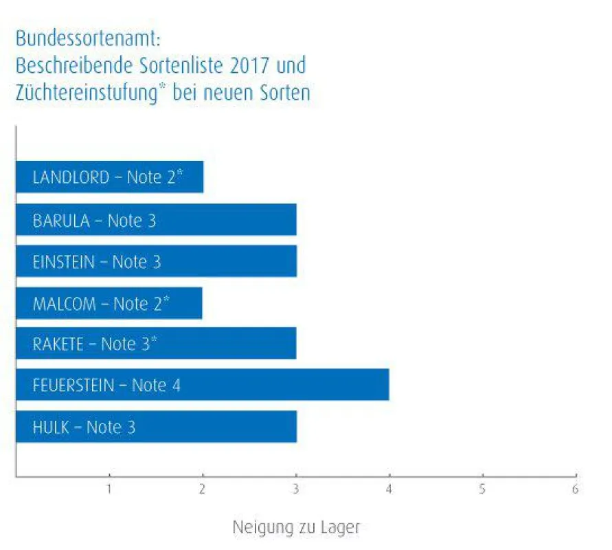 Die glorreichen Sieben verfügen über eine sichere Standfestigkeit und überdurchschnittliche Erträge.