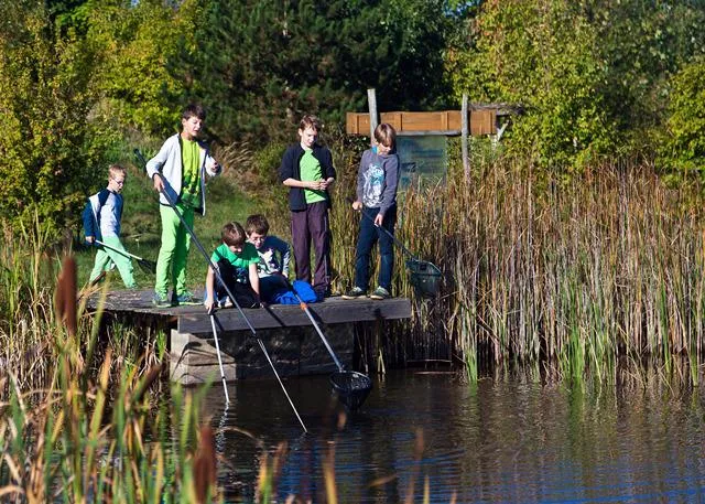 Bild: Anmeldeschluss 8. Februar: Ideen für bundesweiten Wettbewerb „Natur macht Schule“ gesucht