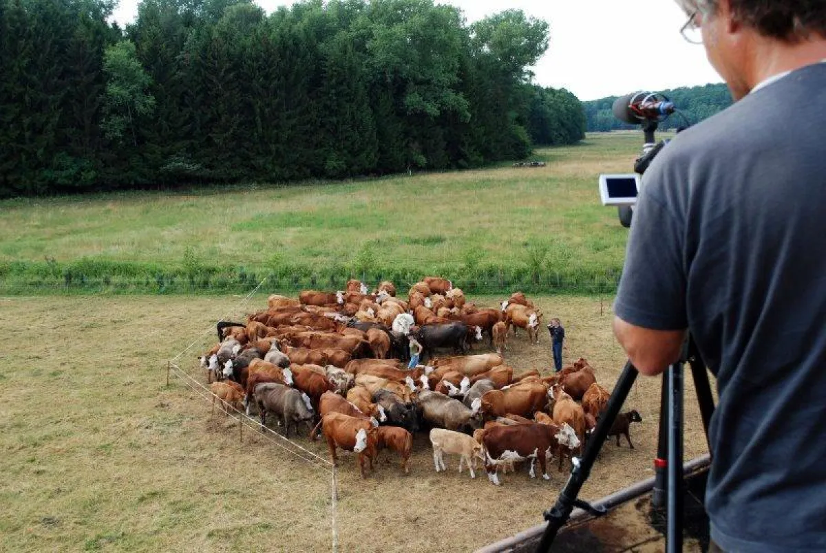 Roland Eckelt bei Dreharbeiten