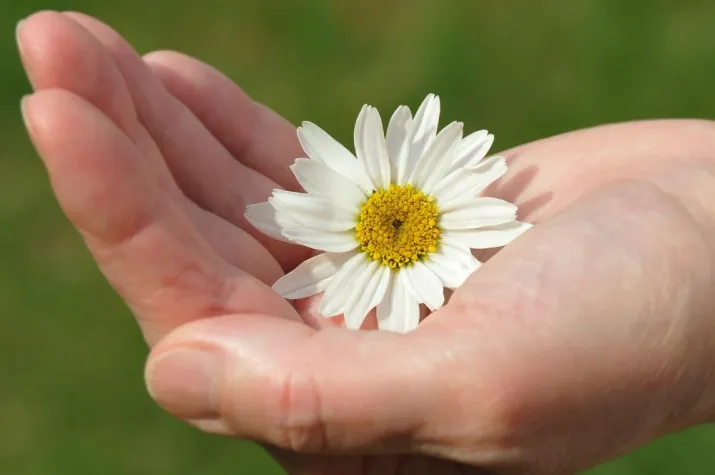 Bild: Gut versorgt mit Wohlfühl-Atmosphäre