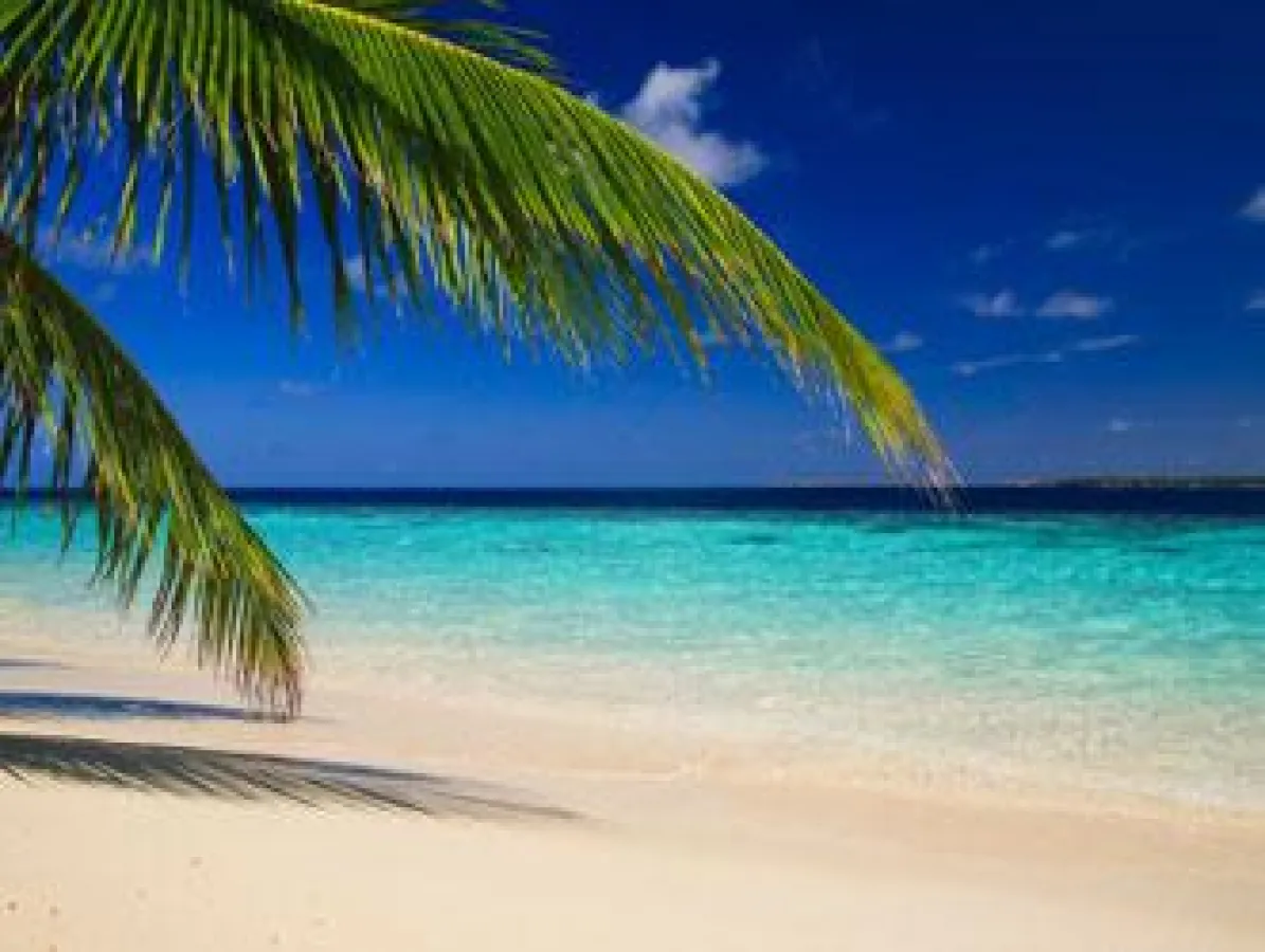 Tropenmedizin in den CityPraxen Berlin