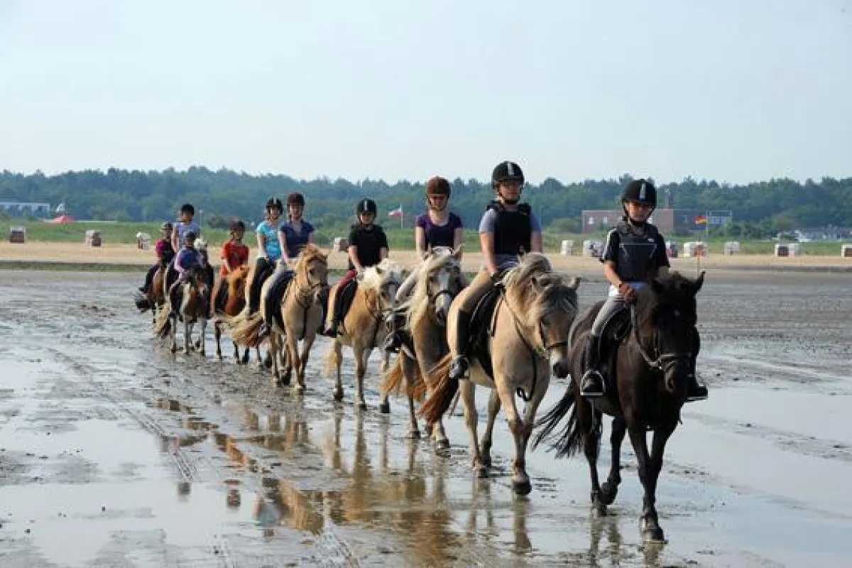 Ausritt ins Watt: Reiterferien in Cuxhaven (© Nordseeheilbad Cuxhaven)