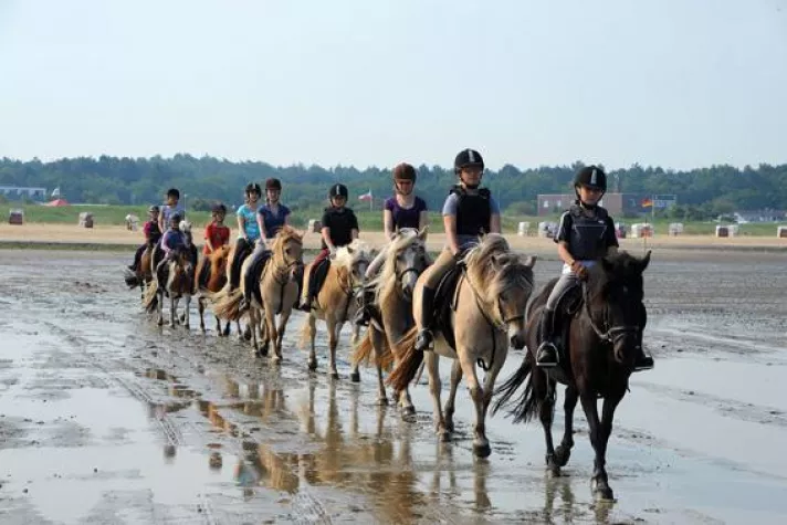 Bild: Urlaub im Sattel in Cuxhaven