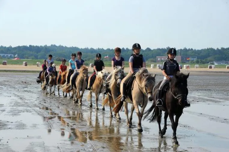 Bild: Urlaub im Sattel in Cuxhaven