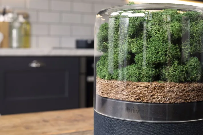 Bild: Quinta stellt Briiv vor, den nachhaltigsten Luftfilter der Welt