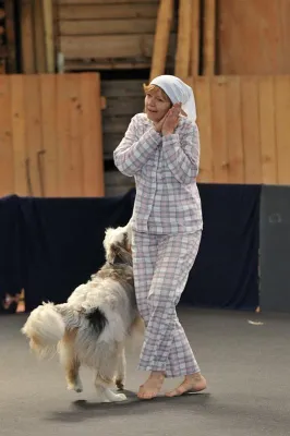 Bild: 2. Internationales Dogdance Turnier Gertau bei Bischofszell / Schweiz