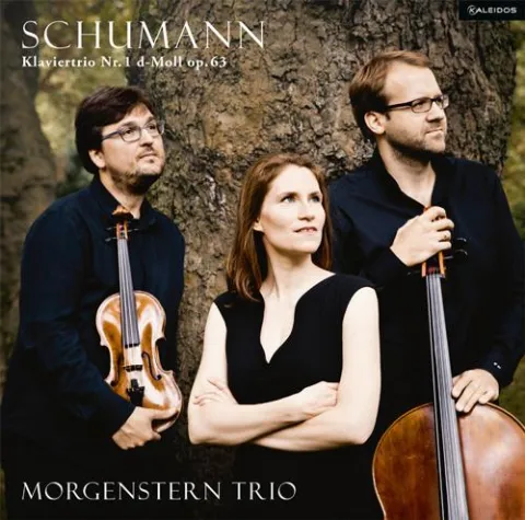 Bild: Morgenstern Trio auf LP