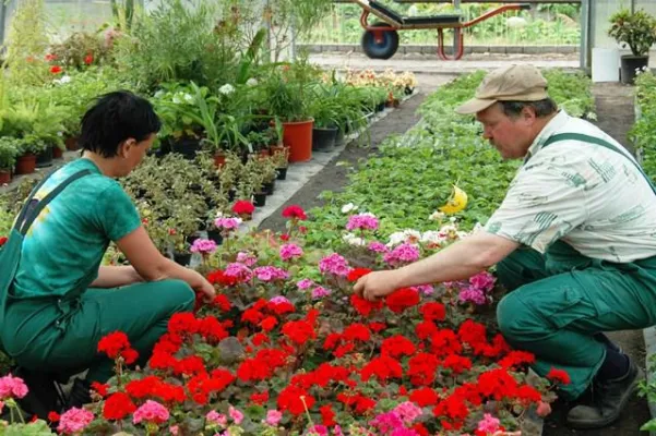 Bild: Grüne Berufe haben eine Zukunft - Ausbildung wird sich dem Markt anpassen müssen