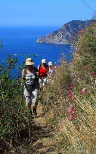 Bild: Geschmackssache Cinque Terre : Wanderung mit Weinprobe