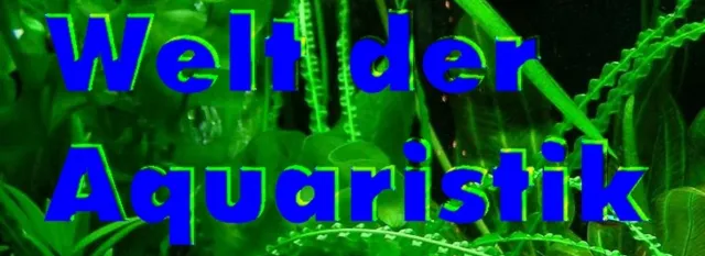 Bild: Geld verdienen mit dem Hobby Aquaristik