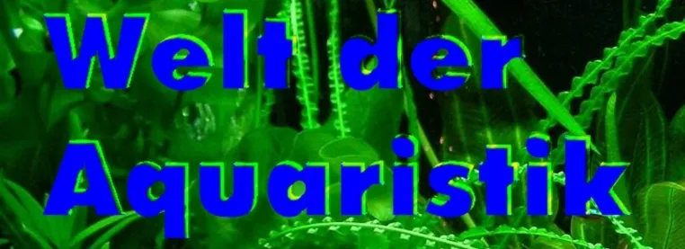 Bild: Geld verdienen mit dem Hobby Aquaristik