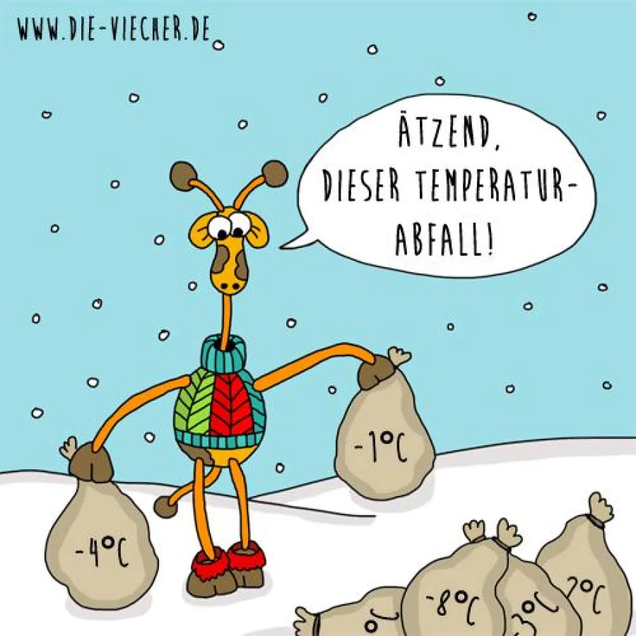 (c) Die Viecher ® - Cartoon von Eva Böhm / Temperaturabfall