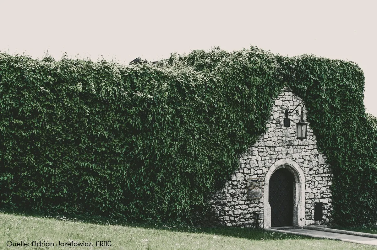 ARAG Experten über Rechte und Pflichten bei der Gartenarbeit