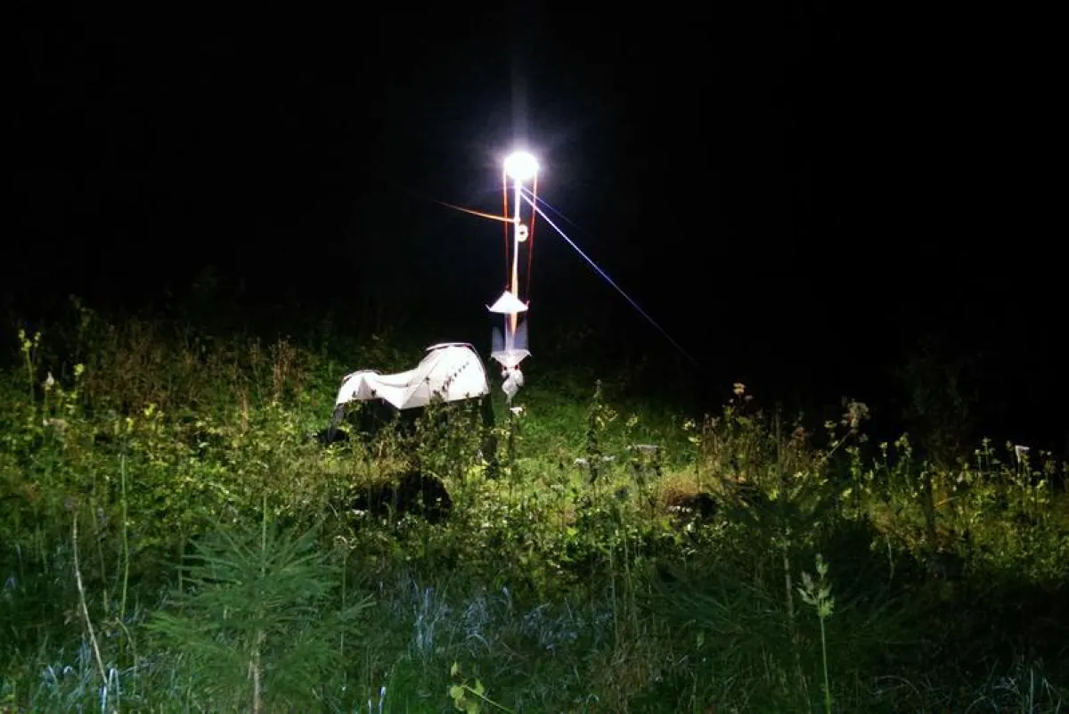 Test setup used to investigate the impact of artificial light on the nocturnal pollination. (© UniBE/Maurin Hörler)