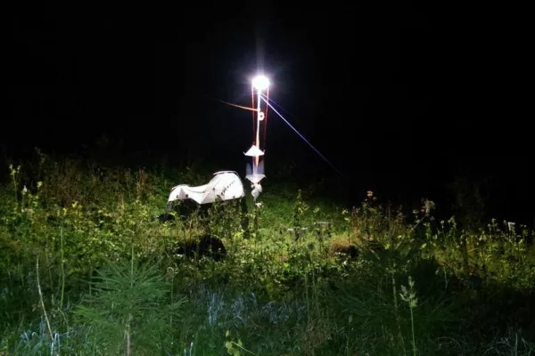 Bild: Light pollution as a new threat to pollination