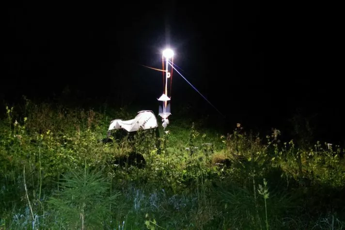 Bild: Light pollution as a new threat to pollination