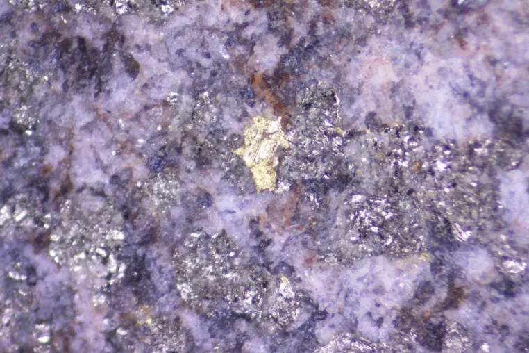 Bild: Goldshore Resources: Sichtbares Gold und bis zu 54,4 g/t Gold!