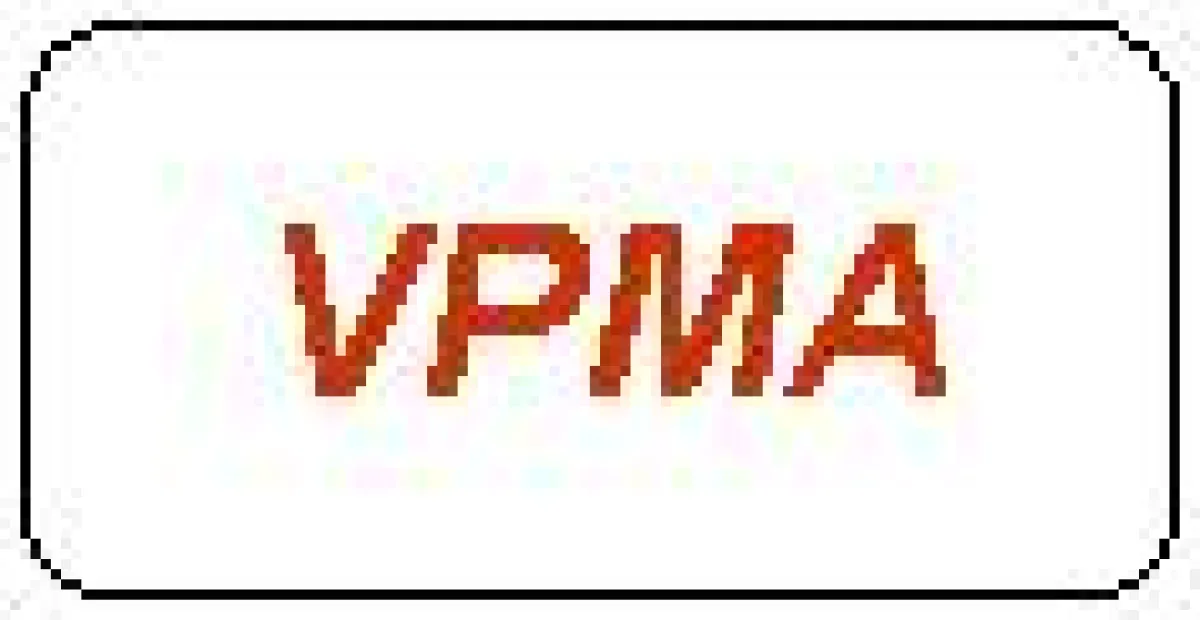 VPMA Virtuelle Projektmanagement Akademie : Verbindung von Projektmanagement und Organisationslernen