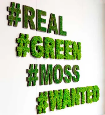 Bild: Moos Buchstaben für die Wand - neue Wanddeko aus echtem Moos