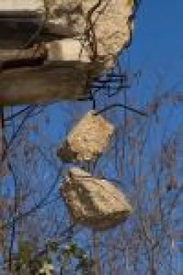 Wertplan Nord Immobilien GmbH - Pressemitteilung 04/09 - BGH erlaubt Abrisskündigung Bild: Wertplan Nord Immobilien GmbH - Pressemitteilung 04/09 - BGH erlaubt Abrisskündigung