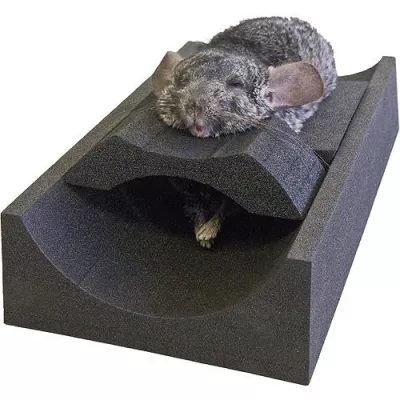 Bild: Dento-Dorm® Lagerungsmatratzen - für eine sichere Lagerung von Tieren