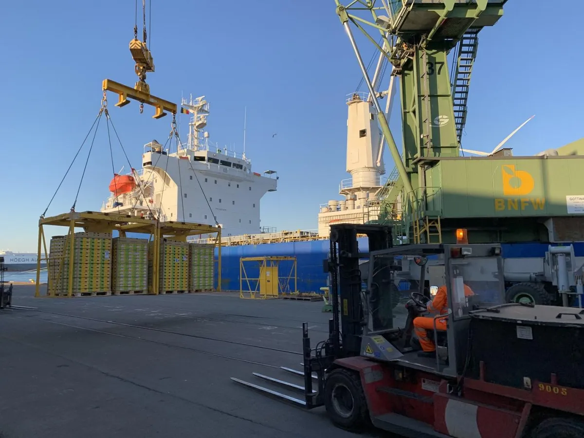 Schiff Crown Topaz / Zespri