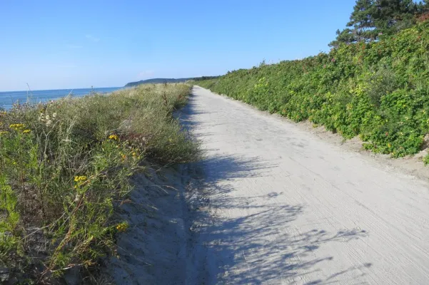 Bild: Unkonventionelles Konzept: Fewos "Am Wiesenbiotop" in Vitte auf Hiddensee