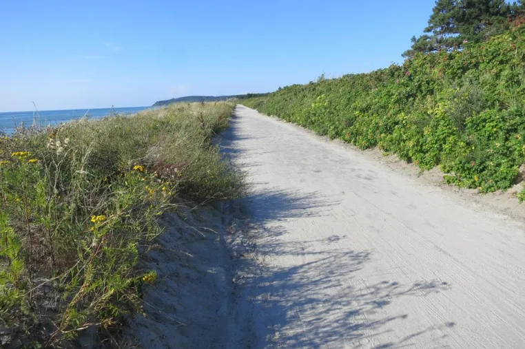 Bild: Unkonventionelles Konzept: Fewos "Am Wiesenbiotop" in Vitte auf Hiddensee