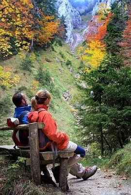 Wild, Wein, frische Pilze - so lecker ist Wandern im Herbst Bild: Wild, Wein, frische Pilze - so lecker ist Wandern im Herbst