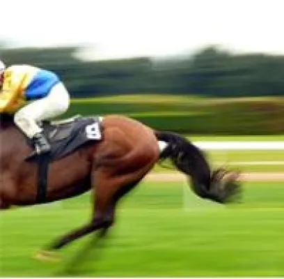 Bild: Gesetzesentwurf GWS/Glücksspieländerungsstaatsvertrag