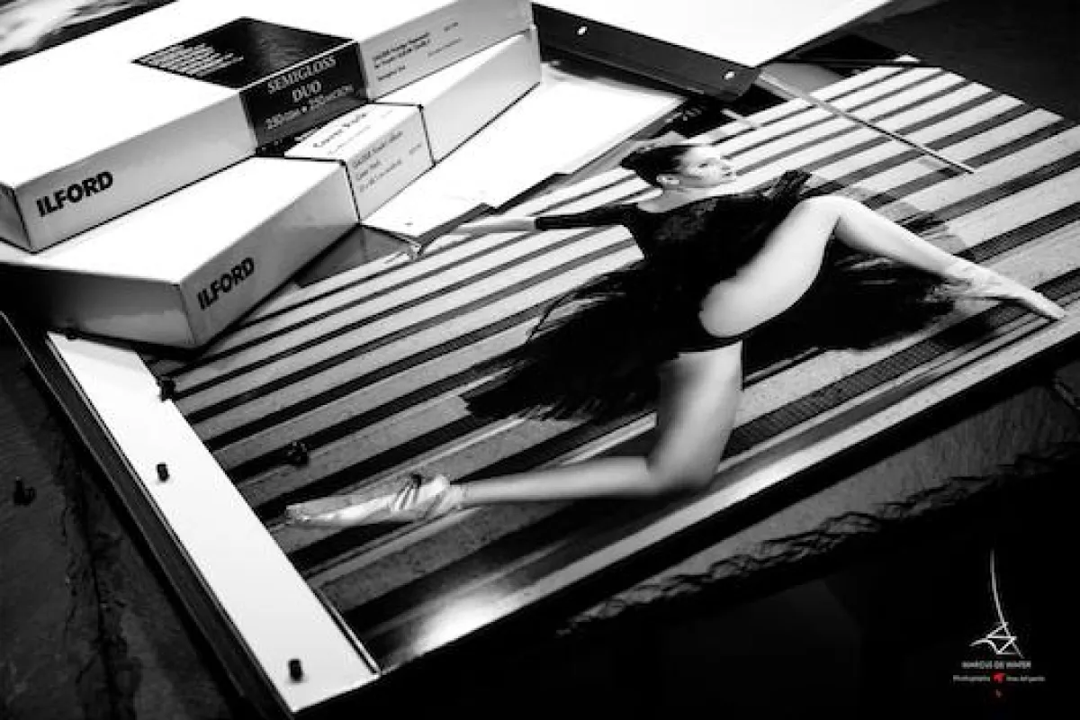 Sehr große Papiervielfalt (©Marcus de Winter).