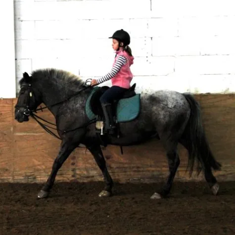 Bild: Neun Kinder legen „Steckenpferd“-Prüfung ab