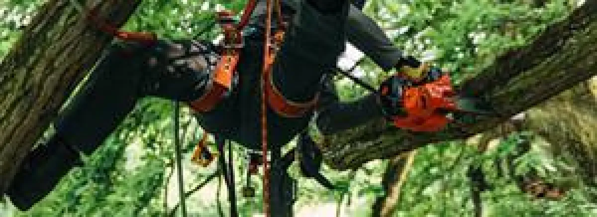 Die neue CS-2510TES im Einsatz