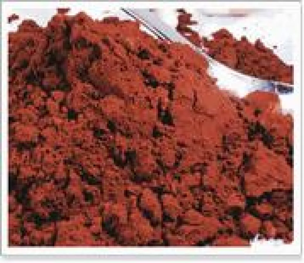 Natürliches Astaxanthinpulver