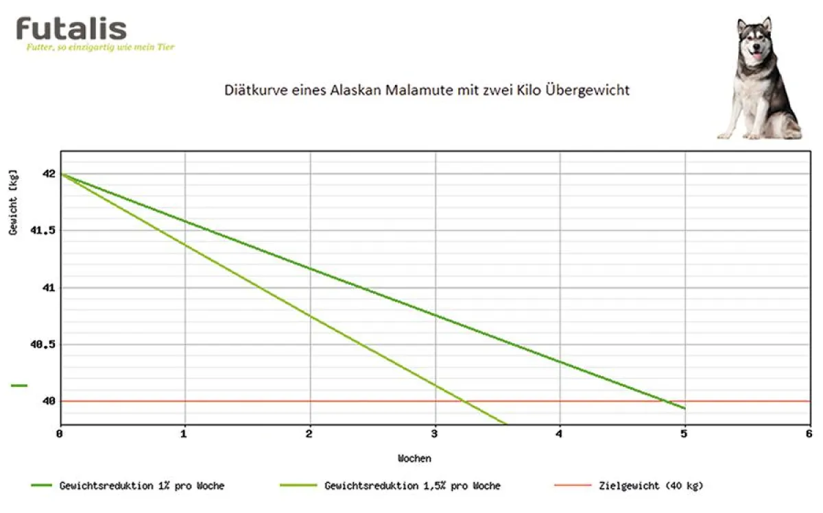 Diätkurve eines Alaskan Malamute mit zwei Kilo Übergewicht