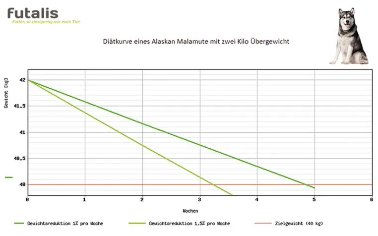 Der Winterspeck muss weg – auch bei Hunden Bild: Der Winterspeck muss weg – auch bei Hunden