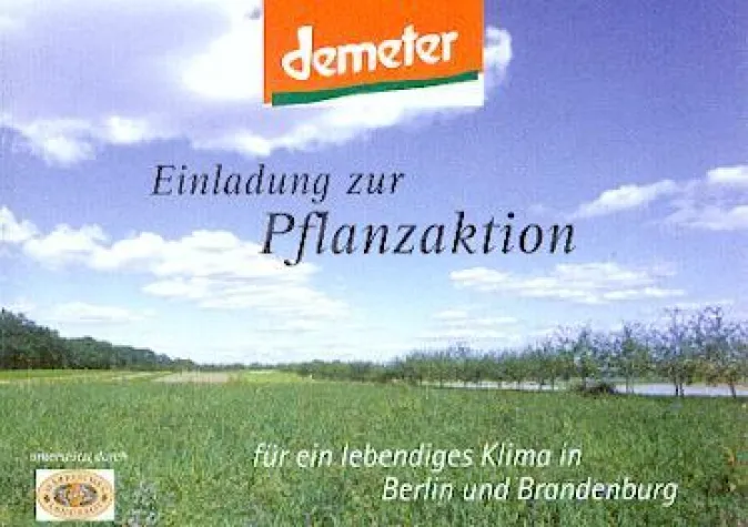 Bild: Aktion: Bäume pflanzen gegen den Klimawandel