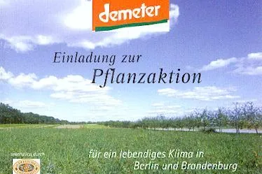 Bild: Aktion: Bäume pflanzen gegen den Klimawandel
