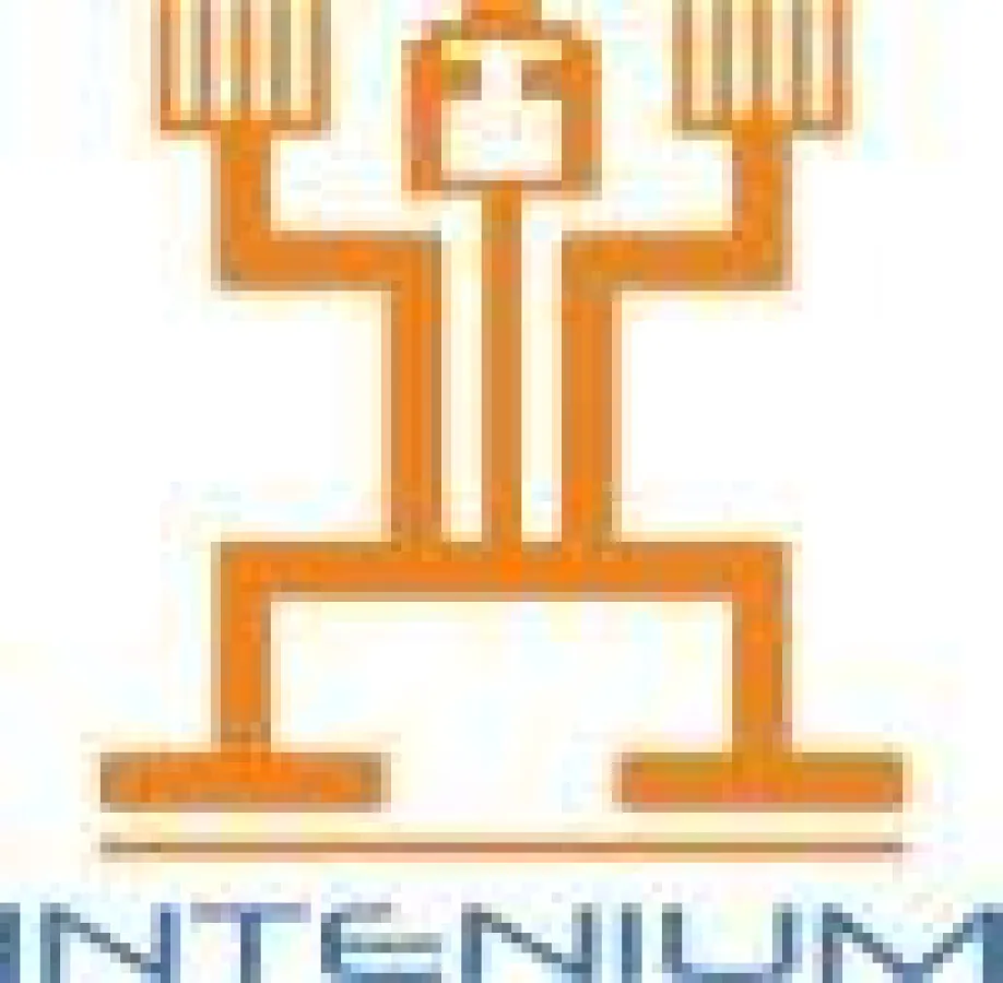 INTENIUM Logo