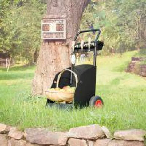 Bild: Folgsam und hilfsbereit