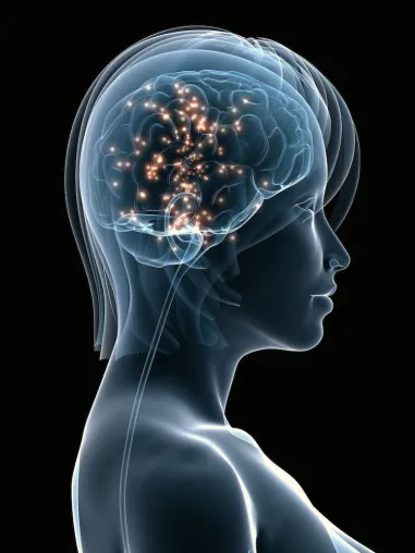 Bild: Happy Brain geht online und verschenkt zum Start 25 Gutscheine