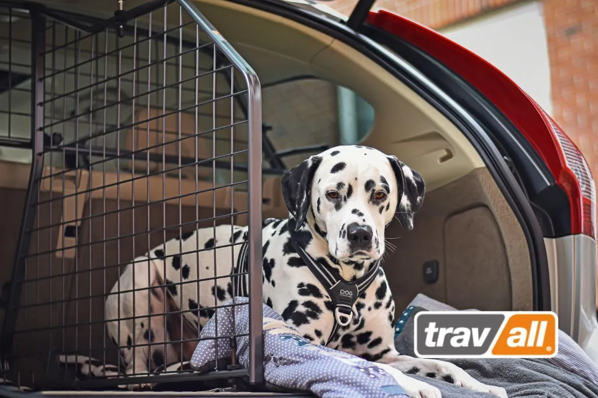 Mit einem Trenngitter sind Hunde auch im Elektroauto optimal gesichert. © Travall